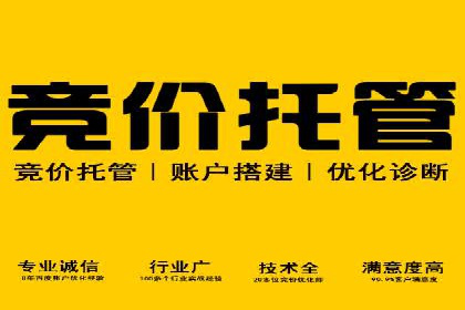 竞价推广SEM托管案例：如何快速提升网站流量